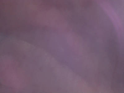 Антоха Инкогнито