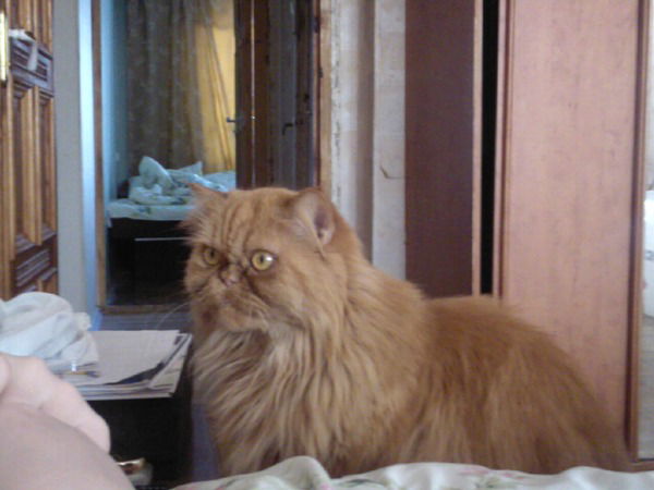 Александр Балашов