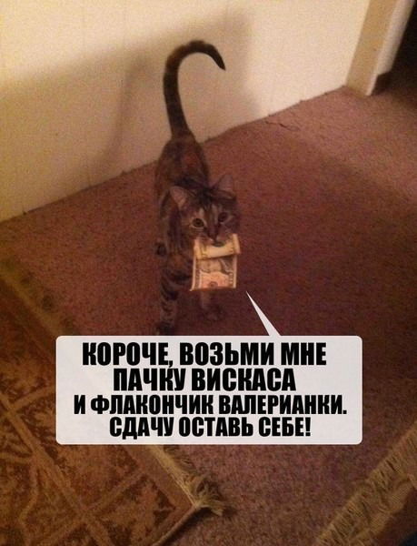 Неизвестно Неизвестно