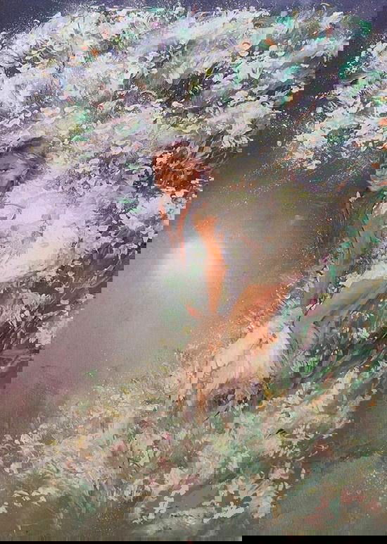 Aннa Моshkinbird