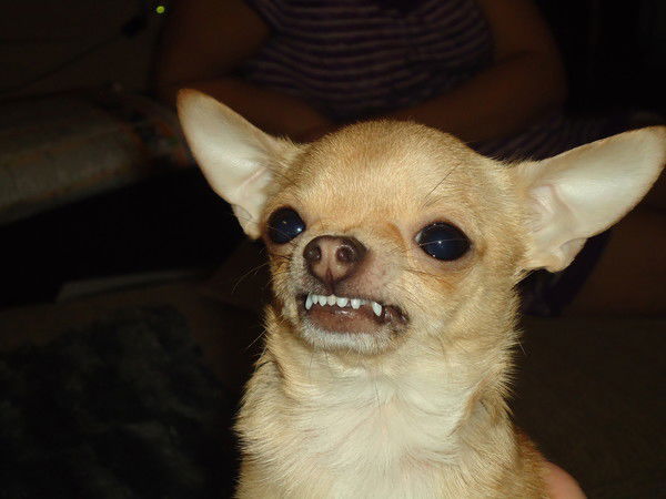 Олег Лучицкий