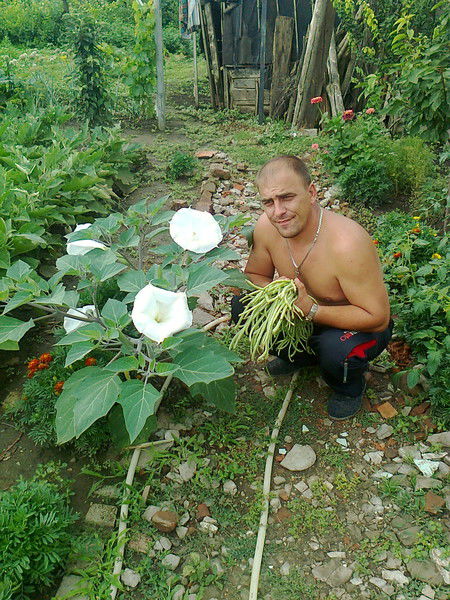 Алексей Сухоруков