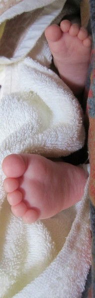 Марина Аппель