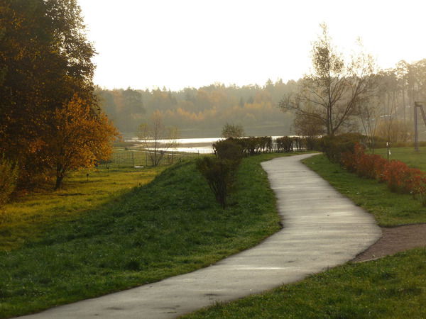 Елена Соколова