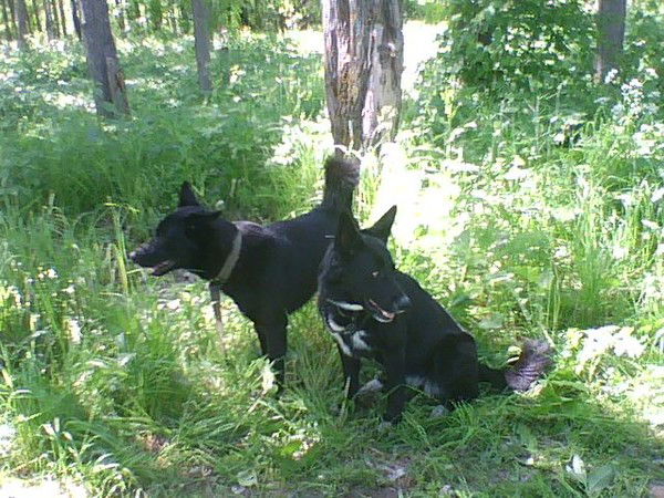 Марина Князева