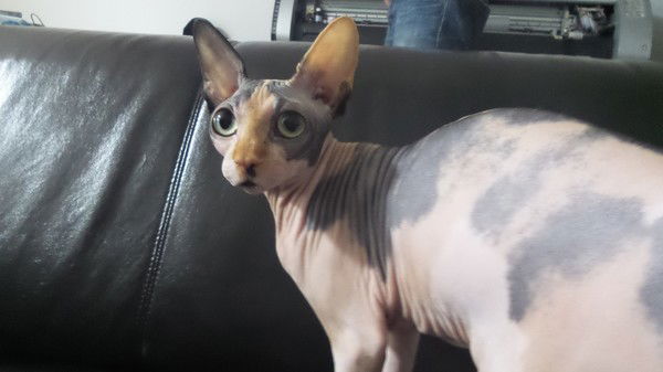 Юсуп Кулдуев