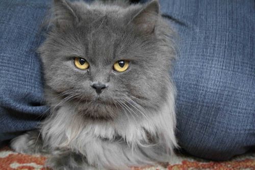 Татьяна Шадрина