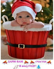 Желтая Орхидея