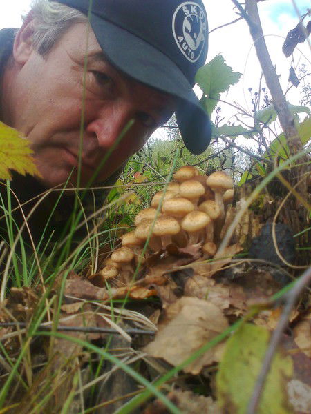 Ирек Низамутдинов