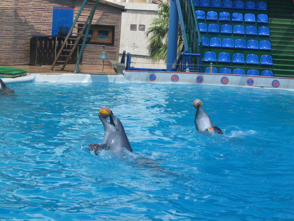 Ольга Оленька