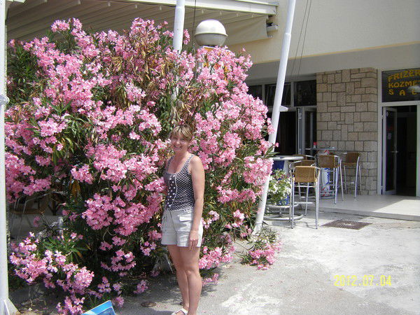 Наталья Волик (Лыс)