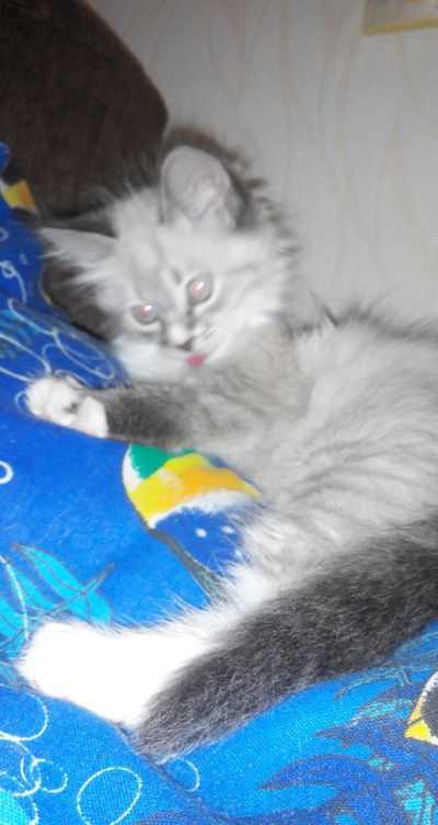 Женечка Клечкова