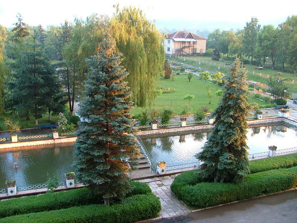 Виктория Белахонова