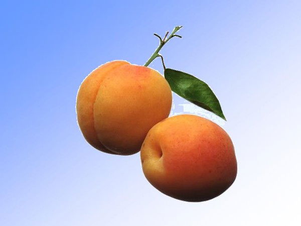 Ооо "аперитив" Ооо "абрикос"