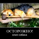 Виктор Виктор