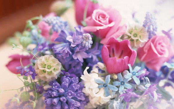 Наталья Алешина