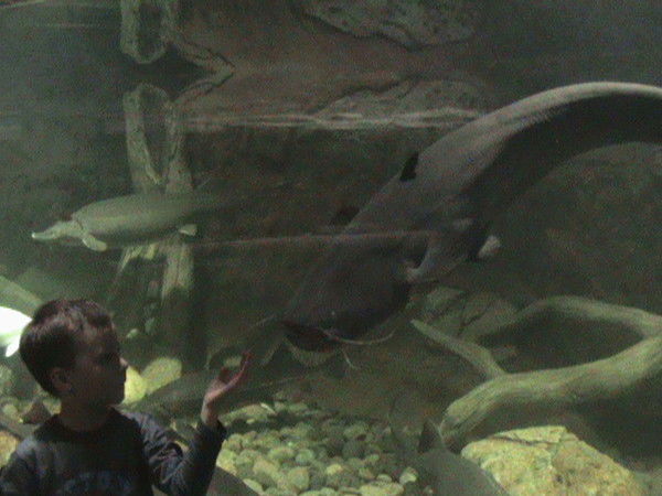 Архип Белосветов