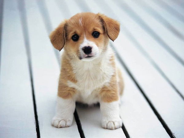 Валентина Калютич