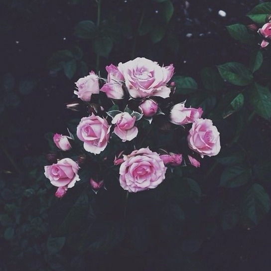 Эля Сайфутдинова