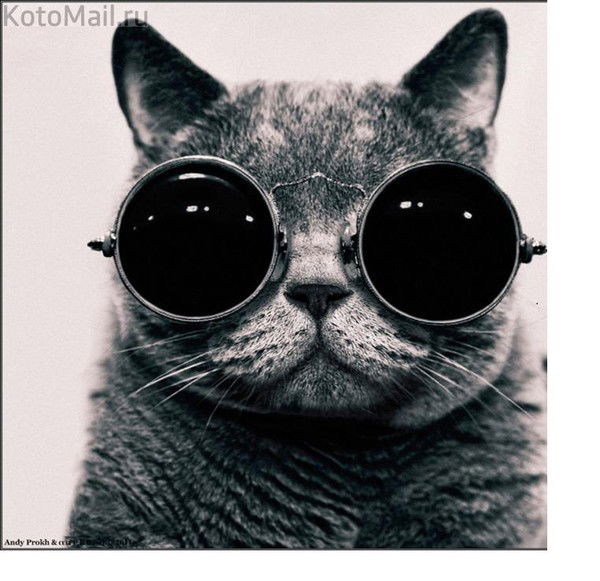 Марина Соболевская