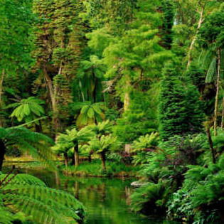 Светлана Дудник