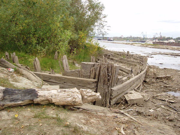 Алексей Федореев