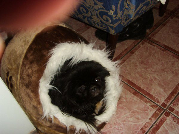 Ирина Мишуто