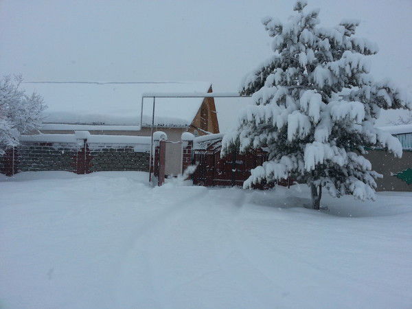 Жанибек Накипов