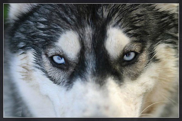 Юрий Епишкин