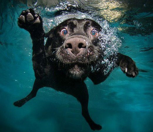 Евгений Кугаевский