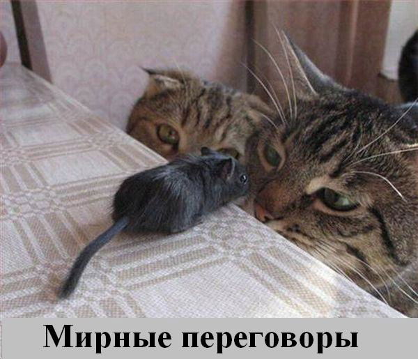 Маргарита Зайцева