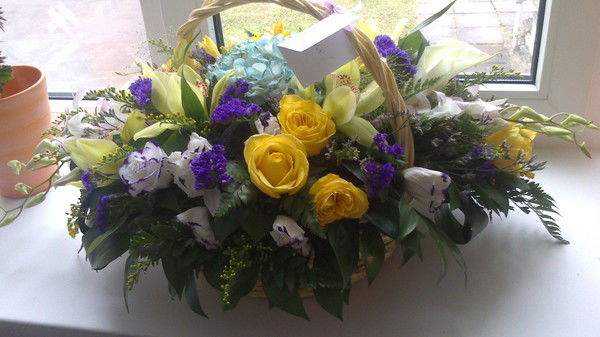 Ромашка Детский Сад