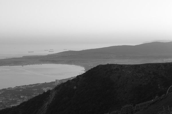 Леонид Савицкий