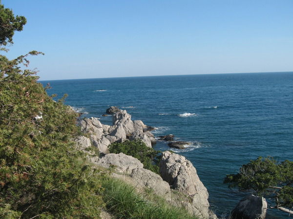 Слава Щетинин