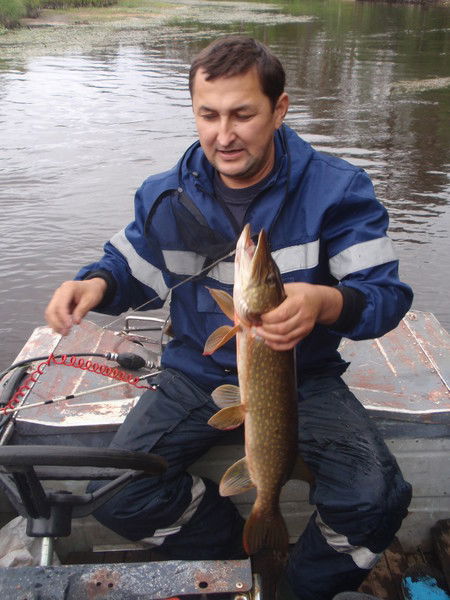 Александр Кунин