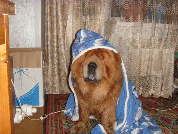 Владимир Иванов