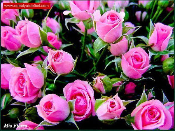 Айман Жаксыбекова