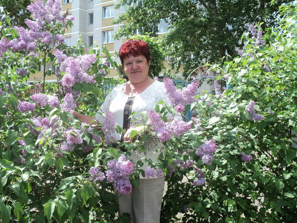 Доу №7 Сказка Ирина Черепанова