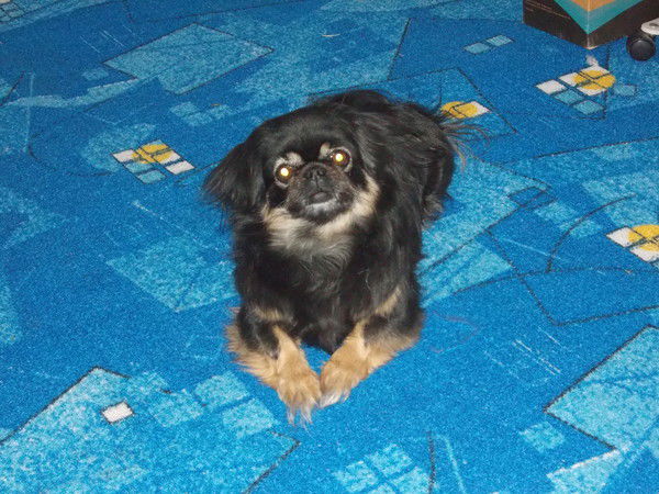 Дмитрий Попов