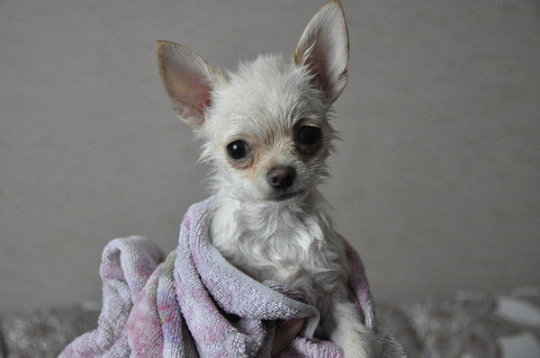 Алёна Фёдорова