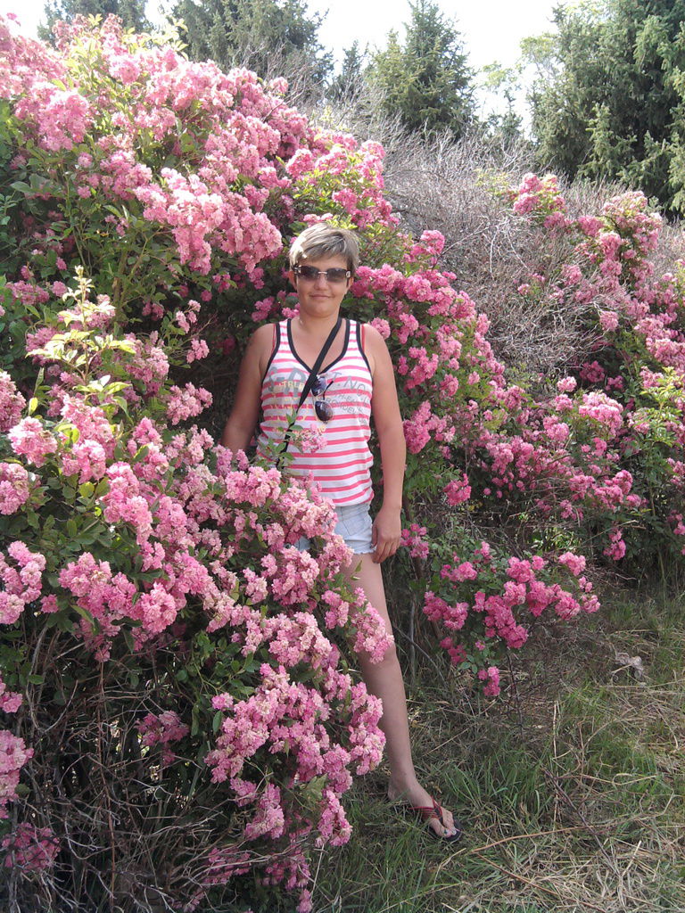 Елена Котельникова