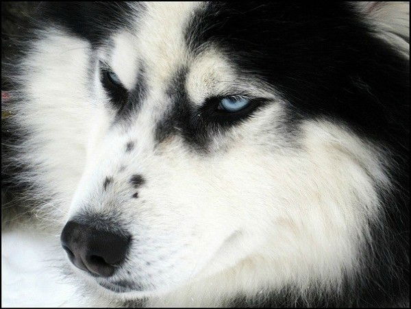 Виталий Роздеров