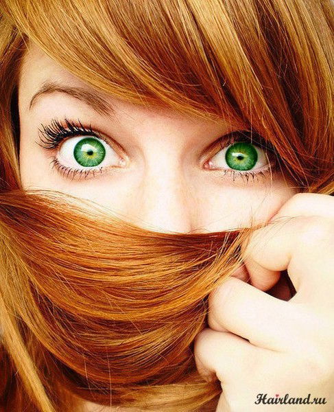 Людмила Шишкина