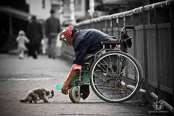 Елена Афанасьева