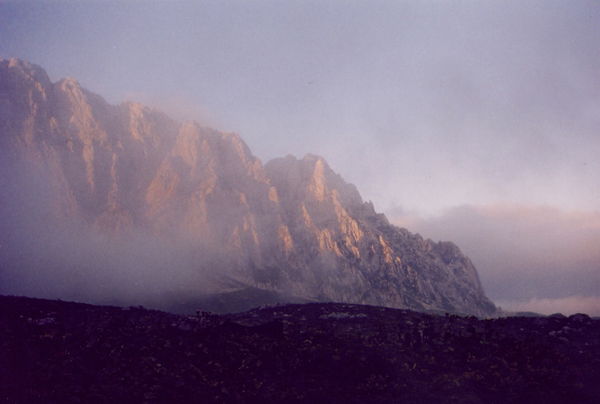 Надежда Вильчицкая