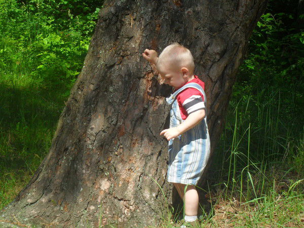 Павел Домащук
