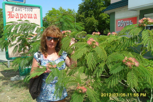 Елена Кулишова