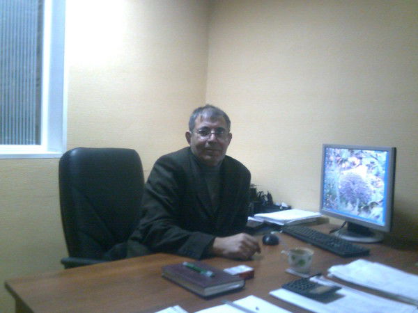 Александр Яковлев