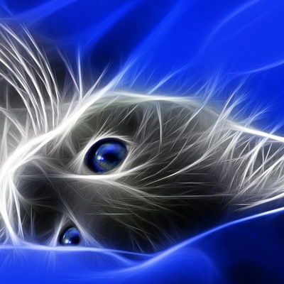 Илья Тогунов