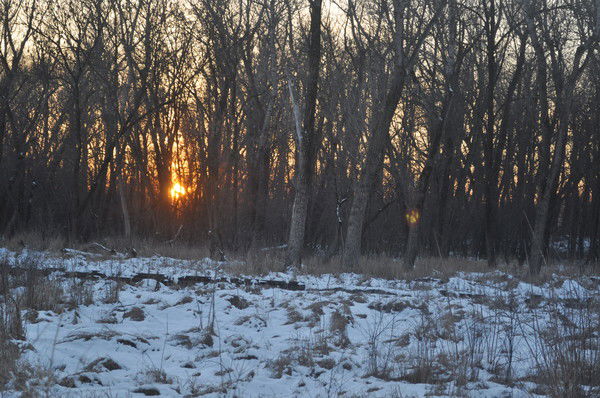 Марина Феденкова